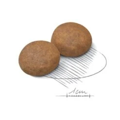 Royal Canin Maxi Adult 5+ -Trixie Tienda De Ventas 80637 royalcanin maxiadult 5plus 15kg croc hs 02 1