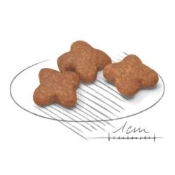 Royal Canin Mini Adult 8+ 6 Royal Canin Mini Adult 8+ -Trixie Tienda De Ventas 80653 royalcanin miniadult 8plus croc hs 02 4