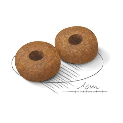 Royal Canin Medium Ageing 10+ 2 Royal Canin Medium Ageing 10+ - Imagen 2