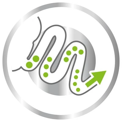 Royal Canin X-Small Adult 4 Royal Canin X-Small Adult - Imagen 4