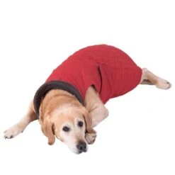 Abrigo Steppmuster Para Perros 28 Abrigo Steppmuster Para Perros -Trixie Tienda De Ventas 81645 hundemantel steppmuster hund fg 8625 gespiegelt 3