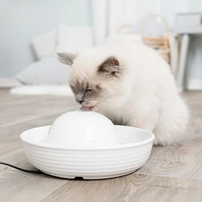 Bebedero Fuente Trixie Vital Flow De Cerámica 4 Bebedero Fuente Trixie Vital Flow De Cerámica - Imagen 4