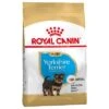 Royal Canin Yorkshire Terrier Puppy / Junior