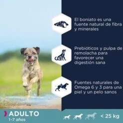 Eukanuba Grain Free Adult Razas Pequeñas Y Medianas Con Pollo -Trixie Tienda De Ventas 8710255187952 2 6