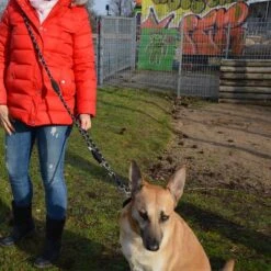 Julius K9 Correa Ajustable Julius-K9 IDC® Cordino Para Perros -Trixie Tienda De Ventas 89698 juliusk9 idcadjustableropeleash hs 11 2