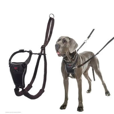 Halti Arnés Antitirada Non-Pull Harness Para Perros 6 Halti Arnés Antitirada Non-Pull Harness Para Perros - Imagen 6