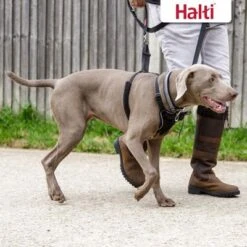 Halti Arnés Antitirada Non-Pull Harness Para Perros 12 Halti Arnés Antitirada Non-Pull Harness Para Perros -Trixie Tienda De Ventas 92496 92497 halti front control trainingsgeschirr hs 06 7