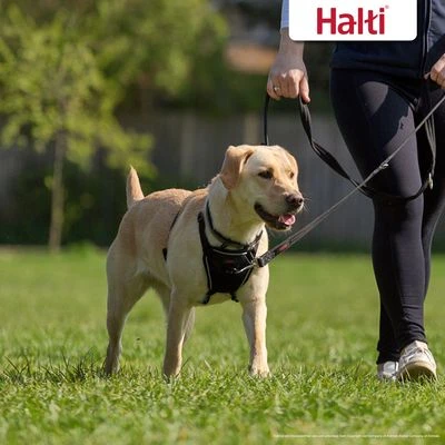 Halti Arnés Antitirada Non-Pull Harness Para Perros 2 Halti Arnés Antitirada Non-Pull Harness Para Perros - Imagen 2