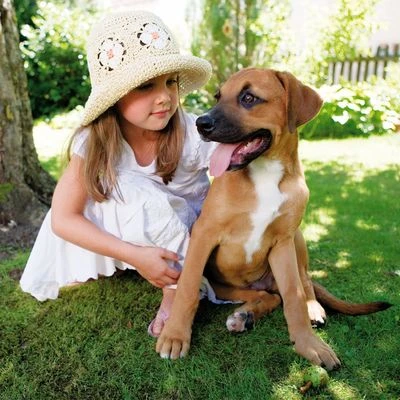 Happy Dog NaturCroq Para Cachorros 6 Happy Dog NaturCroq Para Cachorros - Imagen 6