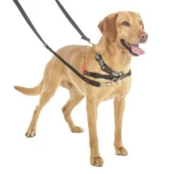 Correa Halti Para El Adiestramiento De Perros 13 Correa Halti Para El Adiestramiento De Perros -Trixie Tienda De Ventas 94508 coa halti trainingsleine hs3 8