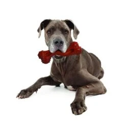 Hueso Nylabone Dura Chew Monster Aroma A Bisonte -Trixie Tienda De Ventas 94898 nylabone durra chew monster hs 05 1