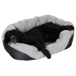 Cama Ortopédica Lazy Para Perros 28 Cama Ortopédica Lazy Para Perros -Trixie Tienda De Ventas 98296 aussiemix fg 4789 5
