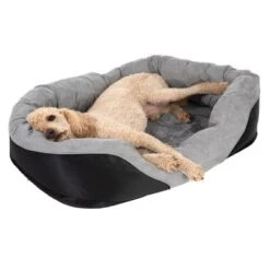 Cama Ortopédica Lazy Para Perros 21 Cama Ortopédica Lazy Para Perros -Trixie Tienda De Ventas 98297 koenigspudel fg 4710 2