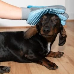 Guante De Doble Cara Para Pelaje De Mascotas 29 Guante De Doble Cara Para Pelaje De Mascotas -Trixie Tienda De Ventas 98728 fellpflege handschuh fg 9972 3