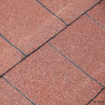 Caseta Para Perros Spike Special 5 Caseta Para Perros Spike Special - Imagen 5