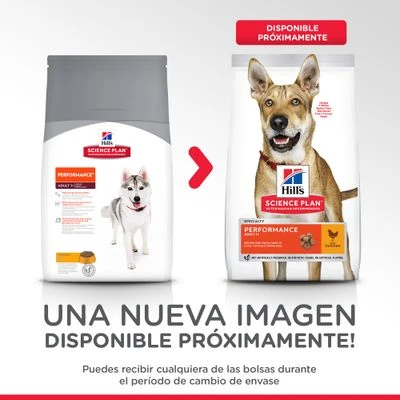 Hill's Science Plan Hill's Adult 1+ Perfomance Science Plan Con Pollo 2 Hill's Science Plan Hill's Adult 1+ Perfomance Science Plan Con Pollo - Imagen 2