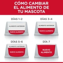 Hill's Science Plan Hill's Adult 1-6 Medium Science Plan Con Cordero Y Arroz 13 Hill's Science Plan Hill's Adult 1-6 Medium Science Plan Con Cordero Y Arroz -Trixie Tienda De Ventas atf6 604220 feeding transition 3 1