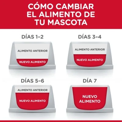 Hill's Science Plan Hill's Adult 1-6 Medium Science Plan Con Cordero Y Arroz 7 Hill's Science Plan Hill's Adult 1-6 Medium Science Plan Con Cordero Y Arroz - Imagen 7