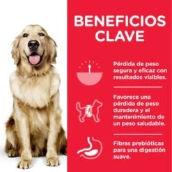 Hill's Science Plan Hill's Adult 1+ Perfect Weight Large Science Plan Con Pollo 10 Hill's Science Plan Hill's Adult 1+ Perfect Weight Large Science Plan Con Pollo -Trixie Tienda De Ventas atf8 604316 key benefits 5