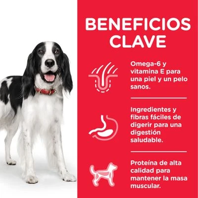 Hill's Science Plan Hill's Adult 1-6 Medium Science Plan Con Cordero Y Arroz 5 Hill's Science Plan Hill's Adult 1-6 Medium Science Plan Con Cordero Y Arroz - Imagen 5