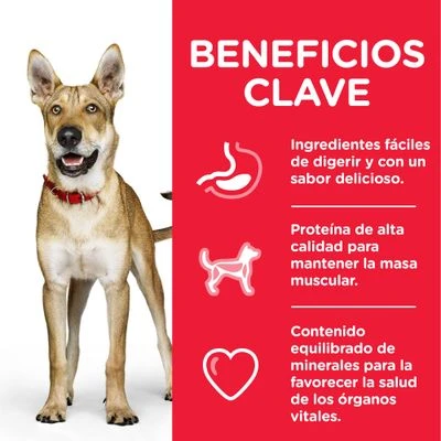 Hill's Science Plan Hill's Adult 1+ Perfomance Science Plan Con Pollo 5 Hill's Science Plan Hill's Adult 1+ Perfomance Science Plan Con Pollo - Imagen 5