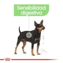 Royal Canin CCN Digestive Care Mousse Para Perros -Trixie Tienda De Ventas ccn 3 3