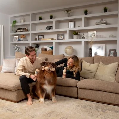 Pet Head Sensitive Soul Champú Para Perros 8 Pet Head Sensitive Soul Champú Para Perros - Imagen 8