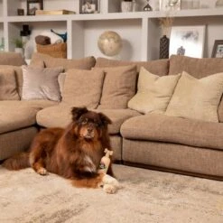 Pet Head Sensitive Soul Champú, Acondicionador Y Spray Para Perros 17 Pet Head Sensitive Soul Champú, Acondicionador Y Spray Para Perros -Trixie Tienda De Ventas companyofanimals pethead sensitivesoul set3teilig hs 08 9