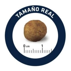 Advance Articular Care Reduced Calorie Veterinary Diets Para Perros -Trixie Tienda De Ventas dog advance vet diets articular care reduced calorie 4