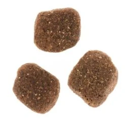 Wolf Of Wilderness The Taste Of The Mediterranean -Trixie Tienda De Ventas dsc2639 2