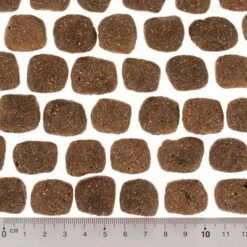 Wolf Of Wilderness The Taste Of The Mediterranean -Trixie Tienda De Ventas dsc2642 0