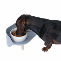 TIAKI Comedero Doble De Cerámica Para Mascotas -Trixie Tienda De Ventas dsc6184 0
