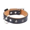 Collar De Cuero Heim Stars