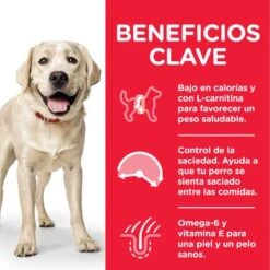 Hill's Science Plan Hill's Adult 1-5 Light Large Science Plan Con Pollo -Trixie Tienda De Ventas es dog adult large light chicken transition benefits 1 8