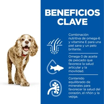 Hill's Science Plan Hill's Senior 11+ Small & Mini Science Plan Con Pollo 4 Hill's Science Plan Hill's Senior 11+ Small & Mini Science Plan Con Pollo - Imagen 4