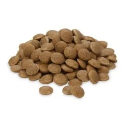 Greenwoods Insects Insectos Con Patata, Guisante Y Habas -Trixie Tienda De Ventas greenwoods insects 1 web 1