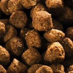 Happy Dog NaturCroq Para Cachorros 10 Happy Dog NaturCroq Para Cachorros -Trixie Tienda De Ventas hd nc puppy1 8