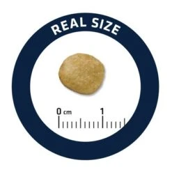 Advance Renal Veterinary Diets Para Perros 7 Advance Renal Veterinary Diets Para Perros -Trixie Tienda De Ventas j 4 4