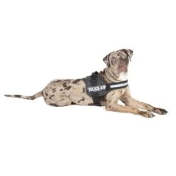 Julius K9 Arnés JULIUS-K9® Power Antracita Para Perros -Trixie Tienda De Ventas juliusk9 powergeschirr anthrazit 1