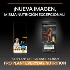 PURINA PRO PLAN Large Athletic Adult Everyday Nutrition 11 PURINA PRO PLAN Large Athletic Adult Everyday Nutrition -Trixie Tienda De Ventas la 14 4
