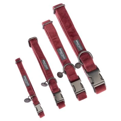 Collar Nomad Tales Blush Vino Para Perros 13 Collar Nomad Tales Blush Vino Para Perros - Imagen 13