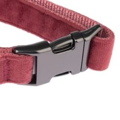Collar Nomad Tales Blush Vino Para Perros 24 Collar Nomad Tales Blush Vino Para Perros -Trixie Tienda De Ventas nomad tales blush halsbaender fg 1322 7