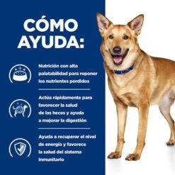 Hill's I/d Prescription Diet Latas Para Perros 15 Hill's I/d Prescription Diet Latas Para Perros -Trixie Tienda De Ventas pd id dog bk30978m bk31617 bk30920 how helps es 6