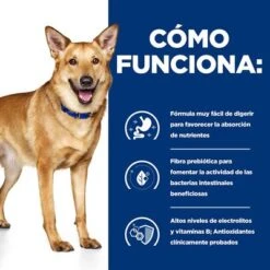 Hill's I/d Prescription Diet Digestive Care Estofado Para Perros 23 Hill's I/d Prescription Diet Digestive Care Estofado Para Perros -Trixie Tienda De Ventas pd id dog bk33557 how works es 1
