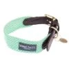 Collar Nomad Tales Bloom Menta Para Perros