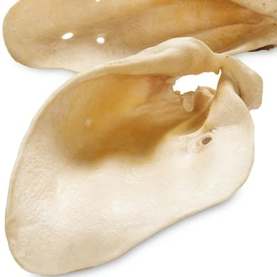 Orejas De Vacuno Premium De Baviera O Austria Para Perros 2 Orejas De Vacuno Premium De Baviera O Austria Para Perros - Imagen 2