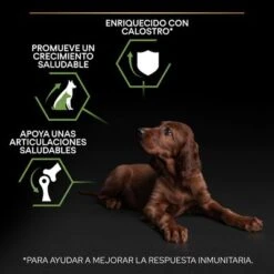PURINA PRO PLAN Large Athletic Puppy Healthy Start 15 PURINA PRO PLAN Large Athletic Puppy Healthy Start -Trixie Tienda De Ventas pu benefit tile m2 healthy start 1 2500x2500px 221229 1 1673334810874 8