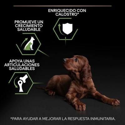 PURINA PRO PLAN Large Athletic Puppy Healthy Start 6 PURINA PRO PLAN Large Athletic Puppy Healthy Start - Imagen 6