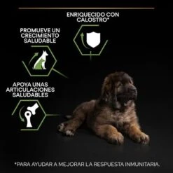 PURINA PRO PLAN Large Robust Puppy Healthy Start 13 PURINA PRO PLAN Large Robust Puppy Healthy Start -Trixie Tienda De Ventas pu benefit tile m2 healthy start 2 2500x2500px 221229 1 1673334810874 1