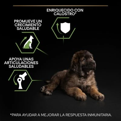 PURINA PRO PLAN Large Robust Puppy Healthy Start 5 PURINA PRO PLAN Large Robust Puppy Healthy Start - Imagen 5
